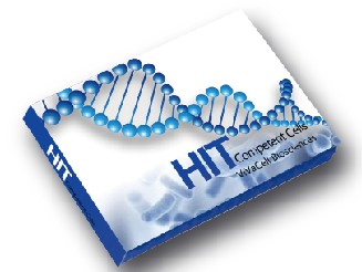 HIT-DH5α (DH5α 感受态细胞)